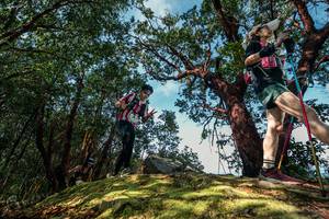 BIB: 
                            <button type="button" onclick="openModal(28597415)" class="btn btn-primary btn-sm float-right btn-popup" data-toggle="modal" data-target=".modal-high-quality">
                        <i class="fas fa-shopping-cart"></i> Add to Cart
                    </button>
                                            <button type="button" onclick="isThisMe(28597415, true)" class="btn btn-success btn-sm float-right btn-popup btn-isme hidden" data-toggle="tooltip" data-placement="bottom" title="นี่คือรูปของคุณใช่ไหม คลิกที่นี่เพื่อเอาเข้าอัลบั้ม">
                        <i class="fas fa-plus"></i> Add to album
                    </button>
                    <button type="button" onclick="isThisMe(28597415, false)" class="btn btn-warning btn-sm float-right btn-popup btn-isnotme hidden">
                        <i class="fas fa-ban"></i> Remove from album
                    </button>